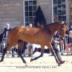 Badminton Horse Trials 2007