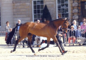 Badminton Horse Trials 2007