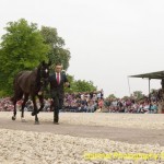 Kilfinnie at Badminton Horse Trials 2011