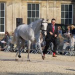 Kilronan trot-up