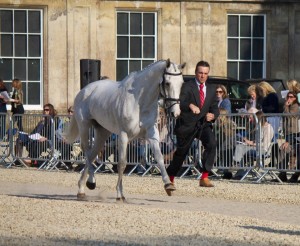 Kilronan trot-up