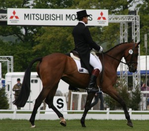 Dressage at Badminton, 2007