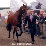 Boekelo in 2005