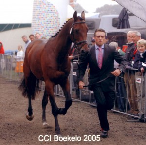 Boekelo in 2005