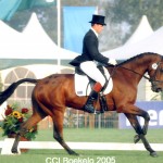 Inonothing at Boekelo