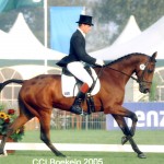 Boekelo in 2005