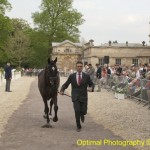 Kilfinnie at Badminton Horse Trials 2011