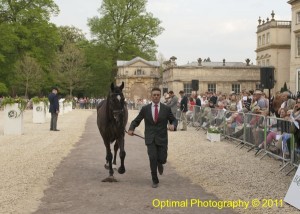 Kilfinnie at Badminton Horse Trials 2011