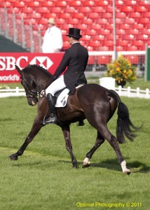 Kilfinnie at Badminton Horse Trials 2011