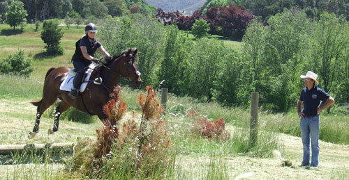 Paul Tapner travels all around the UK (and to Australia!) to train horses and riders of all levels