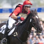 Badminton Horse Trials 2011