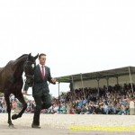 Badminton Horse Trials 2011