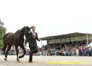 Badminton Horse Trials 2011