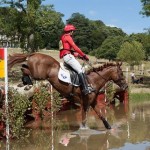 Paul Tapner & Pioneer Milly in the Novice Championships at the Gatcombe Festival of British Eventing