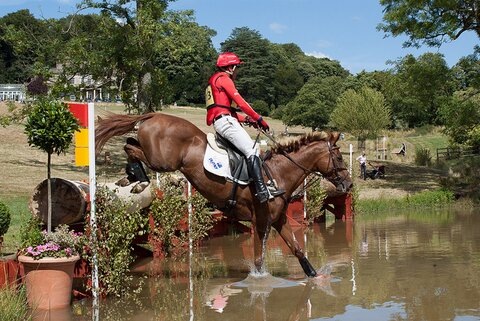 Paul Tapner & Pioneer Milly in the Novice Championships at the Gatcombe Festival of British Eventing