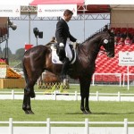 Paul Tapner & Stormhill Michael at Badminton in 2009