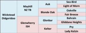 Wickstead Didgeridoo's pedigree