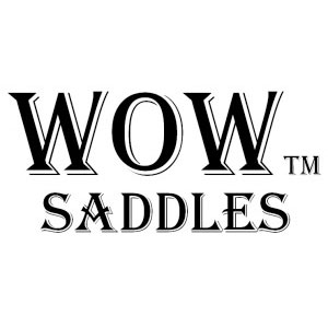 WoW Saddles